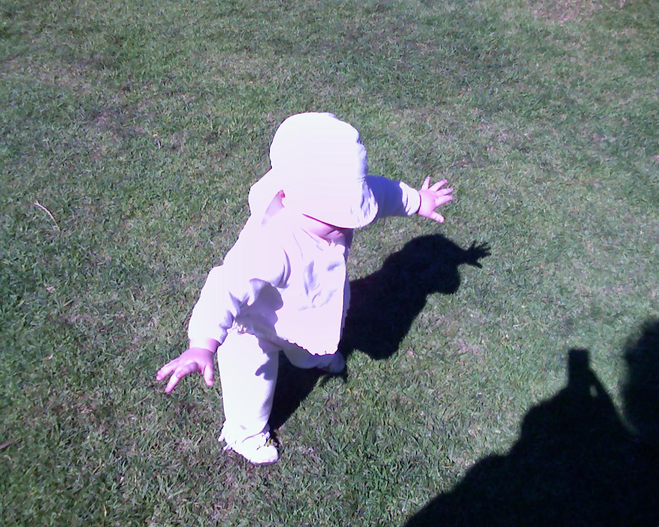 Molly's early steps in Golden Gate Park